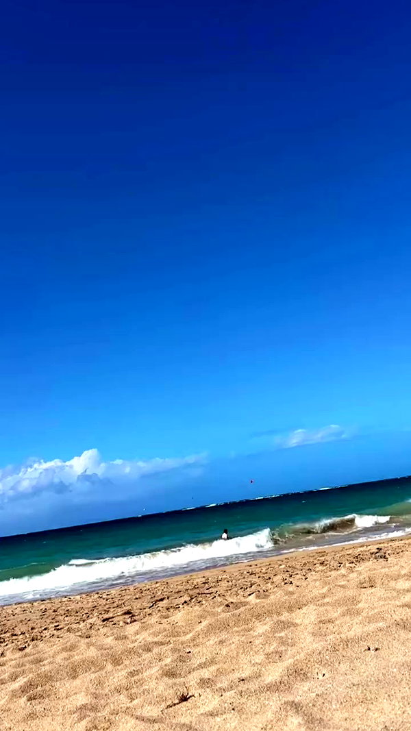 mosssaico archive video preview