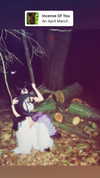 imskirby Altpins Profile Picture