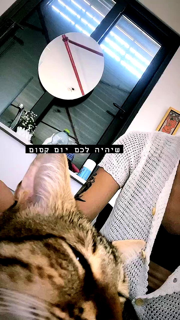 ronyida_ archive video preview