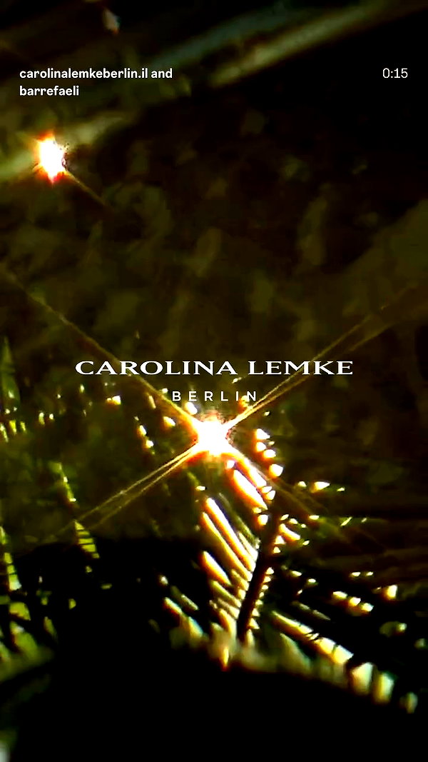 carolinalemkeberlin.il archive video preview