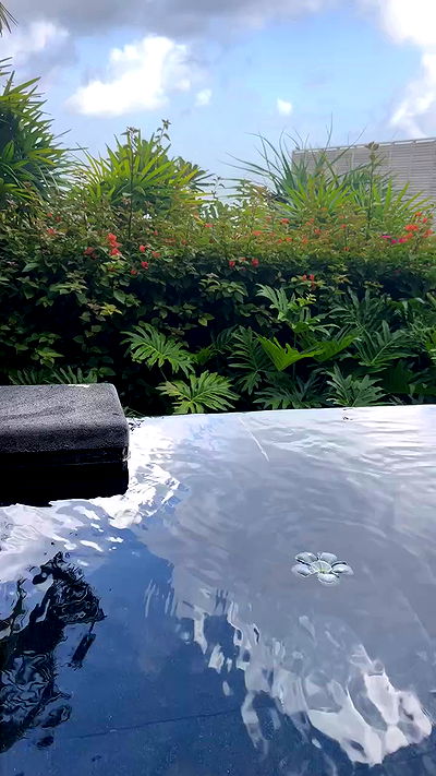 taylor.creeden taylor.creeden archive video