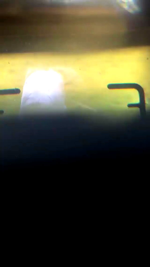 evasela__ archive video preview