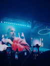 annazak12 Altpins Profile Picture