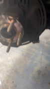 eitan.420 Altpins Profile Picture