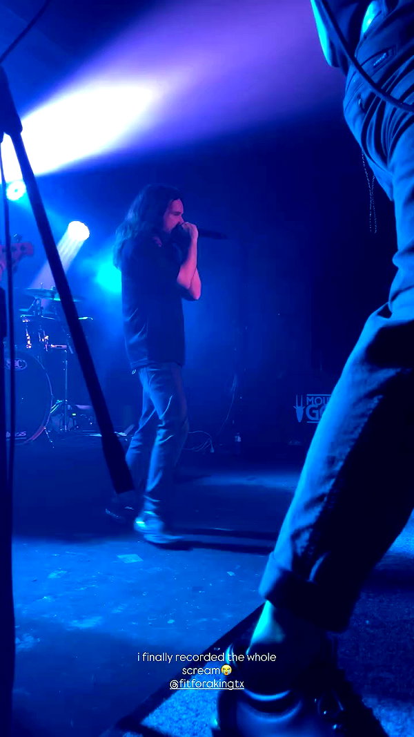 fungusfr0g archive video preview