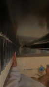 libby_reut Altpins Profile Picture