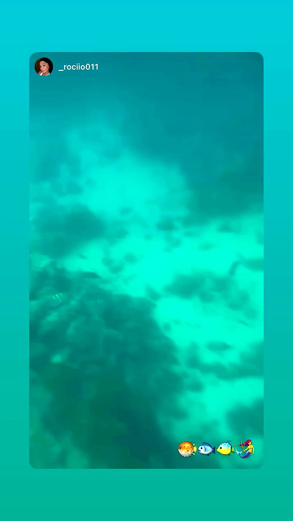noaasaez archive video preview
