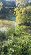 sapir_shemer Altpins Profile Picture