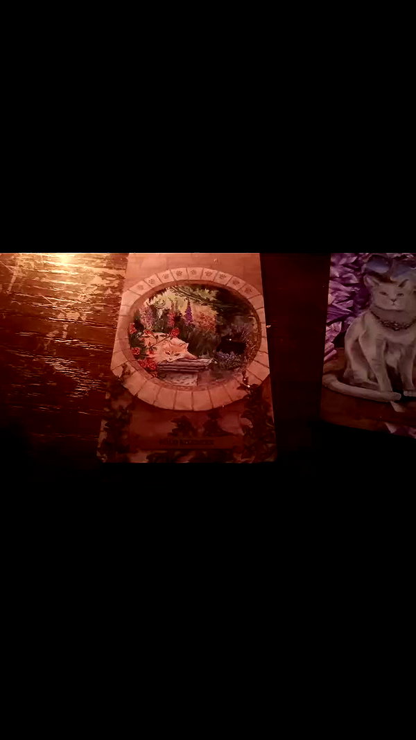 moonyyyya archive video preview