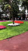 sonia_litvanchuk Altpins Profile Picture
