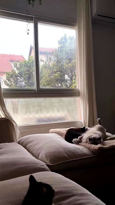 laluzone laluzone archive video