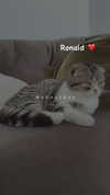 sonia_litvanchuk Altpins Profile Picture