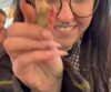 rikol_nohana Altpins Profile Picture