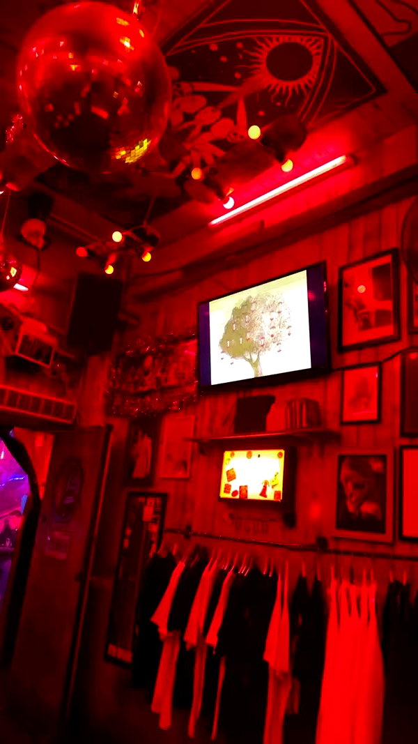 roni_ackerman archive video preview
