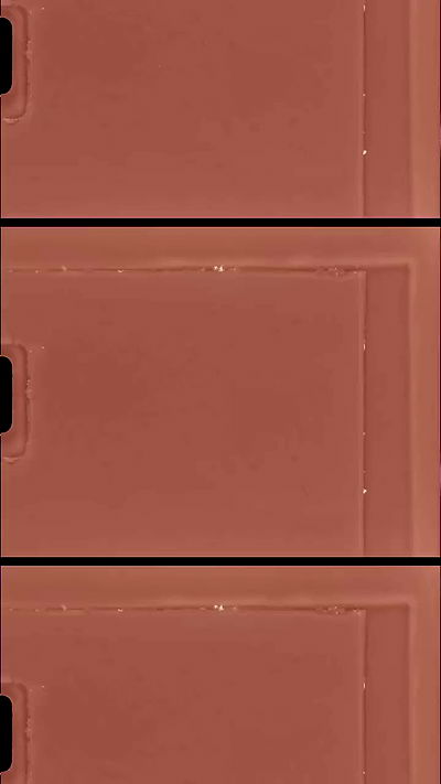 sydney_sweeney sydney_sweeney archive video