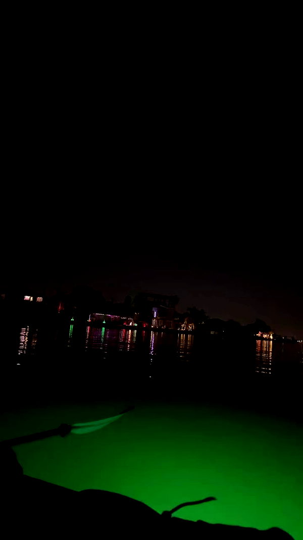 olivia.bolgerr archive video preview