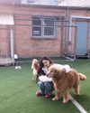 dear.zia Altpins Profile Picture