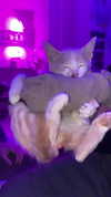 evasela__ Altpins Profile Picture