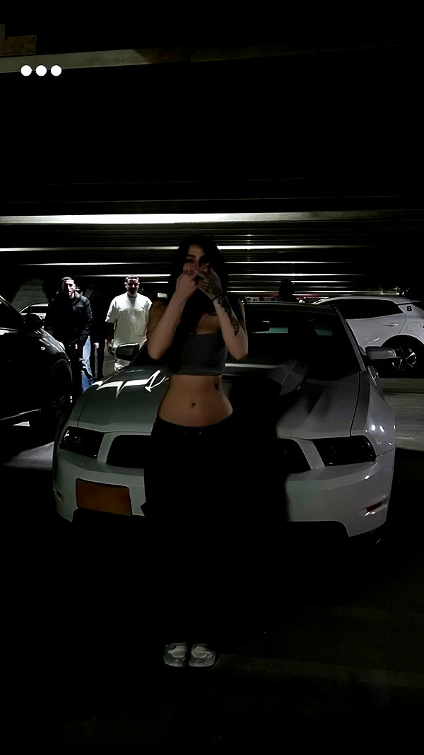 simp_for_cats_ archive video preview