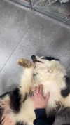 feelbetterinmysweater Altpins Profile Picture