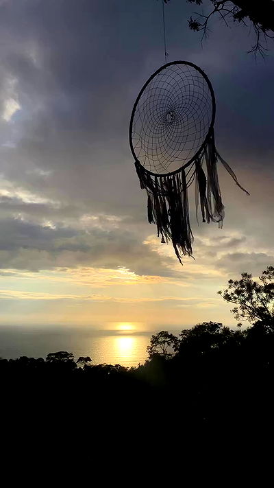 taylor.creeden taylor.creeden archive video