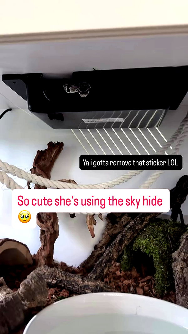 alyri_tv archive video preview