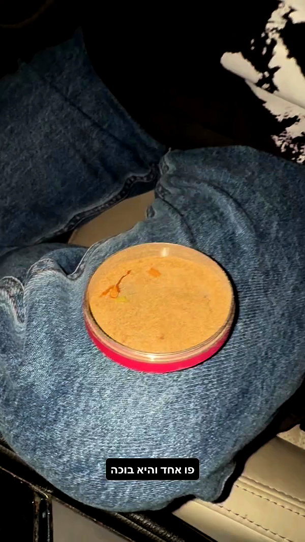 assoolin archive video preview