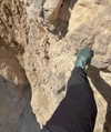 mishel_d_ Altpins Profile Picture