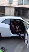 veroni22ka Altpins Profile Picture