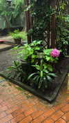 lotembar Altpins Profile Picture