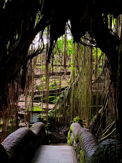 taylor.creeden taylor.creeden archive video