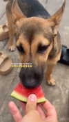 maya.keyy Altpins Profile Picture