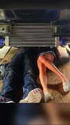 zommmbri Altpins Profile Picture