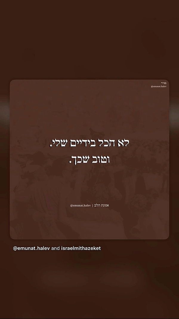 shir.albilia archive video preview