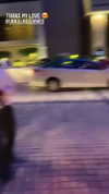 sonia_litvanchuk Altpins Profile Picture