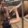 ellianawalmsley Altpins Profile Picture
