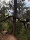 gissell_eli Altpins Profile Picture