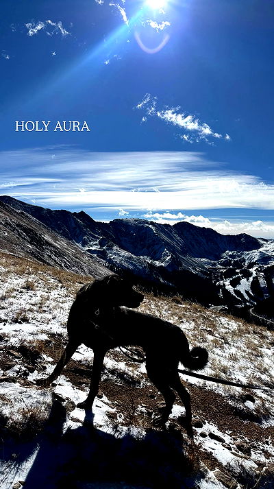 thelizzyporter thelizzyporter archive video