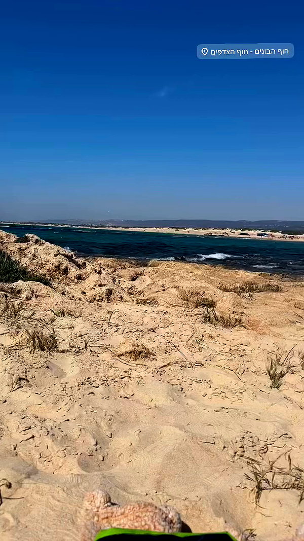 _.shelichka._ archive video preview
