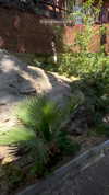 seline_paz Altpins Profile Picture
