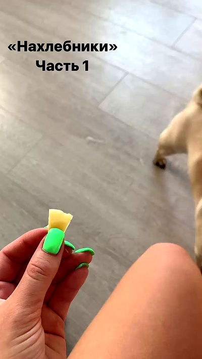 nyityam nyityam archive video