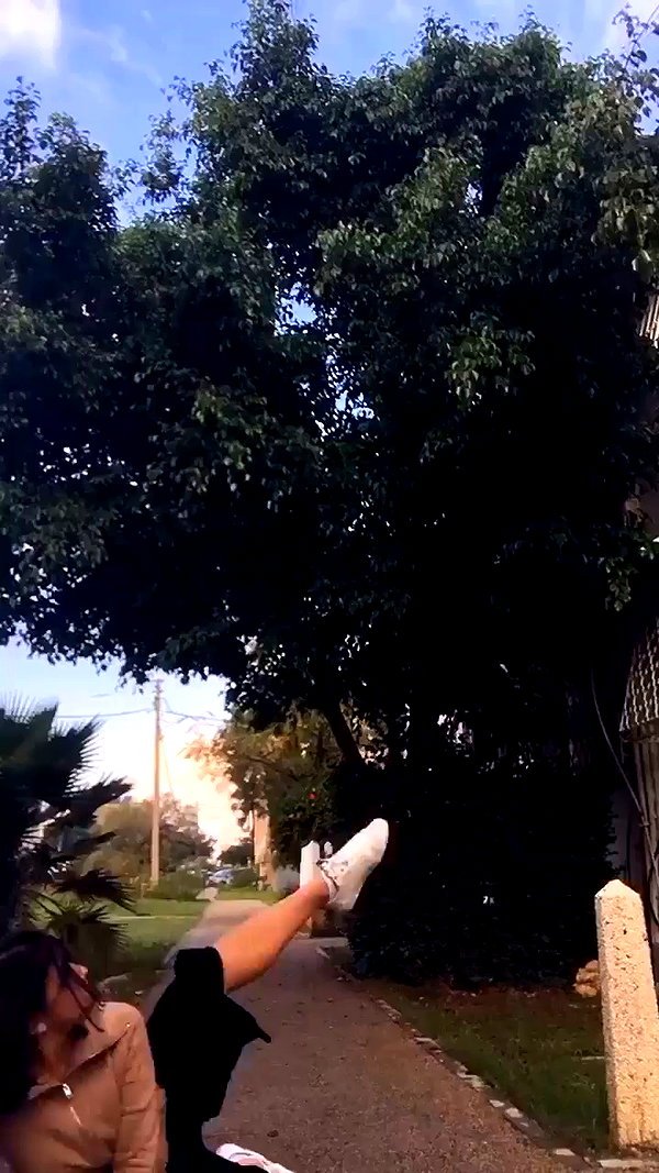 yuval_raz archive video preview