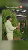 fabiana.bolanos Altpins Profile Picture