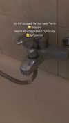 liad.arazi Altpins Profile Picture