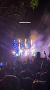 lucywemyss_ Altpins Profile Picture