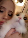 silkton Altpins Profile Picture
