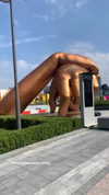 elsgatti Altpins Profile Picture