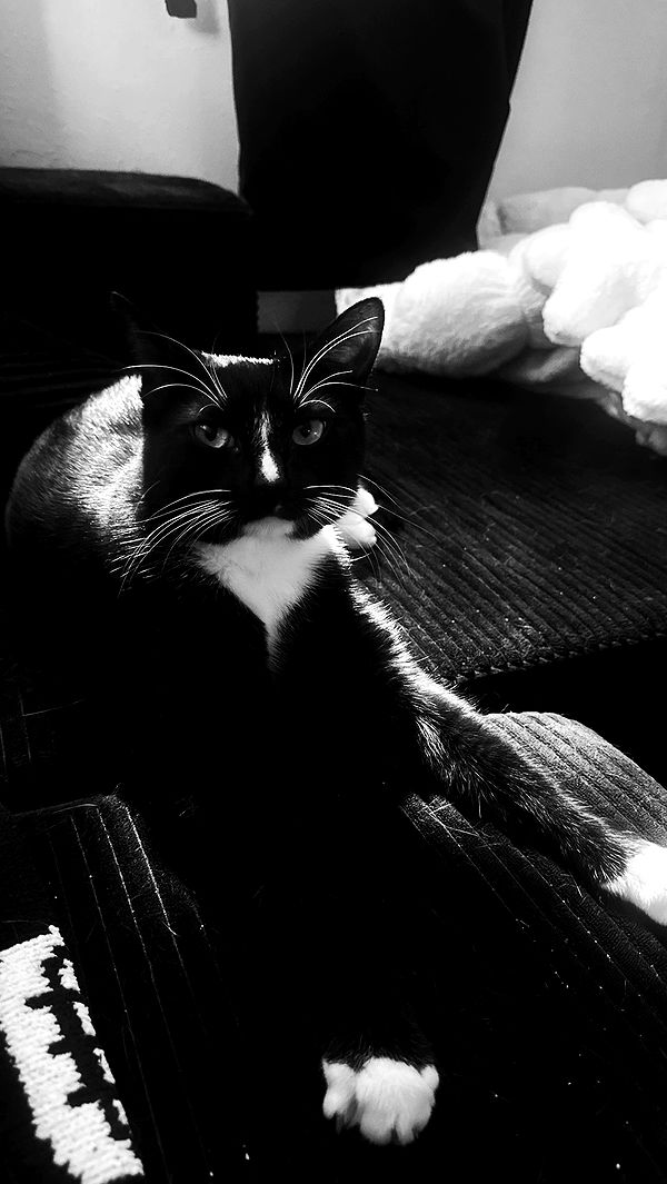 6nattynat9 archive video preview