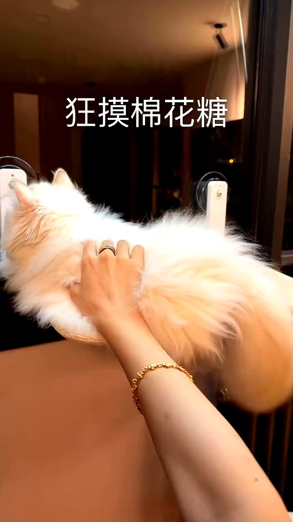 xiaoxinbue archive video preview