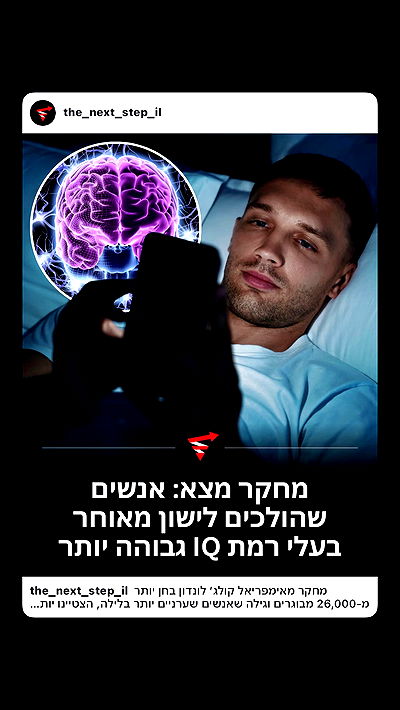 _lil_noa_ _lil_noa_ archive video